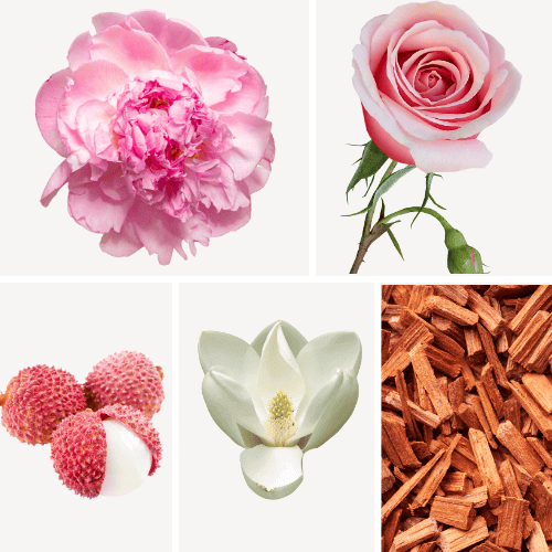 Preview: Duftnoten: Rose, Pfingsrose, Litschi, Magnolie, Zedernholz